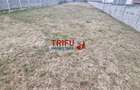 Teren Intravilan Construibil în Alba Iulia, Micesti - 4