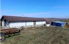 Oferta de vanzare ferma: hala de 500 mp.+teren 6500 mp, Frata, 65000 EURO - 5