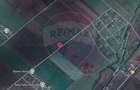 Teren 10.875 MP | Hălchiu |  Jud. Brasov - 4