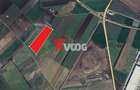 Teren industrial Sag, Centura SUD, PUZ aprobat - 1