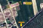 TEREN CONSTRUCTII-INTRAVILLAN-SUPERB-SNAGOV-PADURE-UTILITATI-PROIECT - 3