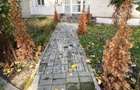 Proprietar/Spatiu zimbru/dacia/3 camere 2 bai/intrare bulevard/liber - 5