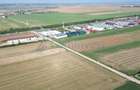 Teren intravilan de vanzare, 66400 mp, langa Oradea, Bihor - 10