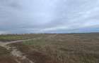 Oază de Natură și Potențial: Teren de 48.100 mp lângă Delta din Carpați - 12