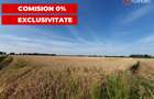 COMISION 0% Teren de vanzare intravilan de 24.700 mp - Padureni - 12