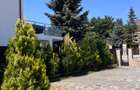 Vila individuala 4 camere, teren 1000 mp, 4 cam, 5 bai, curte, parcari, Pipera - 18