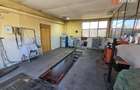 Oportunitate afacere: Spatiu industrial + Casa de locuit - Bogdanestilor - 21