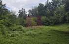 Teren de vanzare 15.000 mp in Telega - 9