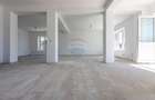 Spatiu comercial 58 mp utili de inchiriat, zona Calea Barladului - 3
