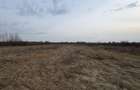 Teren intravilan 10.000 mp plan | Utilități în apropiere | La 8 min de Baia Mare - 2