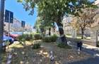 Bulevardul Victoriei - apartament 3 camere de vanzare curte garaj - 20