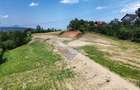 Teren 1,000mp Sohodol, cu utilitati / Strada Sohodol - 14