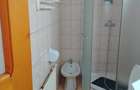 Apartament 2 camere busteni  - 14