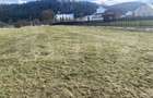 Teren intravilan de vanzare, 12.500 mp, zona Vatra Dornei, Podul Coșnei - 3