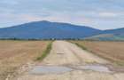 Carpinis, 10000mp-arabil, 25000euro - 4