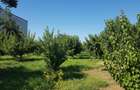Petresti - Corbeanca 4648 mp intravilan desch. 33 m, utilitati, acces asfaltat - 15
