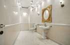 Vila cu arhitectura deosebita, adiacent Bd-ului  Lascar Catargiu, refacuta - 13