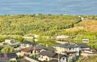 Apartament 3 camere si Curte I Șorogari I Lac Aroneanu - 15
