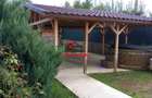 Casa in Campina--1000e - 5
