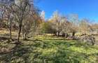 Teren 4044 mp, deschidere 60m, la 18 km de Campina, asfalt si curent - 4
