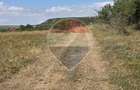 Teren intravilan de vanzare 843 mp – Chinteni - 7