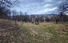 Teren de vanzare intravilan, 10 000 Mp , Sighisoara - 2