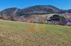 Teren intravilan de 4.000 mp în Bistrița – Alexandru cel Bun - 21