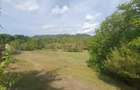 Teren intravilan  4.512 m  – Nucșoara  Argeș, 2 căi de acces, toate utilitățile. - 4