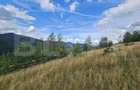 Teren intravilan 5.271 mp cu priveliște spectaculoasă – Gârda de Sus, Snide - 3
