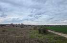 Loc Agigea / Judetul Cta /Teren intravilan 500 mp cu o deschidere stradala 16 ml - 7