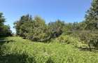 Casă de vânzare cu teren de 1.000 mp | Grigoreni, comuna Șorteni | CE1803 - 4