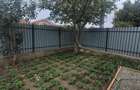 Valu lui Traian -casa 3 camere cu teren 300 mp -gaze la poarta  72500 euro - 37