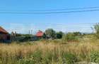 Teren intravilan si extravilan, 9500 mp, cu dublă deschidere – Ana Ipatescu - 2