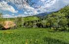 Teren intravilan 3400 mp, in Balaban - Simon, Bran - Brasov - 4
