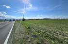 Vanzare teren industrial comercial 18.000 mp - 7