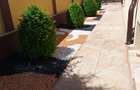 vila de lux-agigea - 2