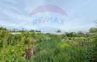 Teren intravilan de vanzare 2,464 mp, Gurbanesti - 1