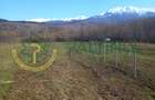 Vindem teren Sibiu, Valea Lupului, priveliste deosebita - 7