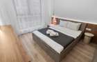 Apartament 2 camere 65 mp mobilat utilat Lujerului - 18