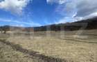 Teren extravilan de vanzare, 2,4 hectare, zona drumul Tarpiului - 3