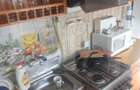 Casa individuala, 95 mp, zona Buzias - 10