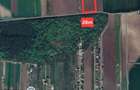Terenuri Domnesti - 500mp -> 4 Ha - 24