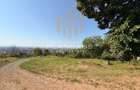 Teren intravilan - Zona TBC, str. Grigore Ureche - 1118 mp - 6