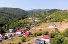 Parcele Teren cu PUZ si toate utilitatile / Cisnadioara-Sibiu - 9