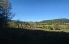 5,6 ha terenuri si padure in Criscior - 3