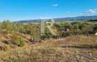 Casă renovata cu teren generos | Anexe | Gurasada | Hunedoara - 40