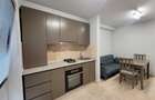 Apartament 1 camera  - Vilă ultracentral la 50 m de UMF - 3