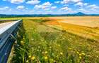 Teren extravilan 17,000mp Rasnov langa Autostrada A3, zona industriala - 5