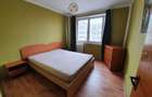 Inchiriere 2 camere Teiul Doamnei - 9