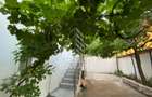 Casa P+1 cu 2 apartamente - pozitie excelenta pe Aleea Ghirodei - 1